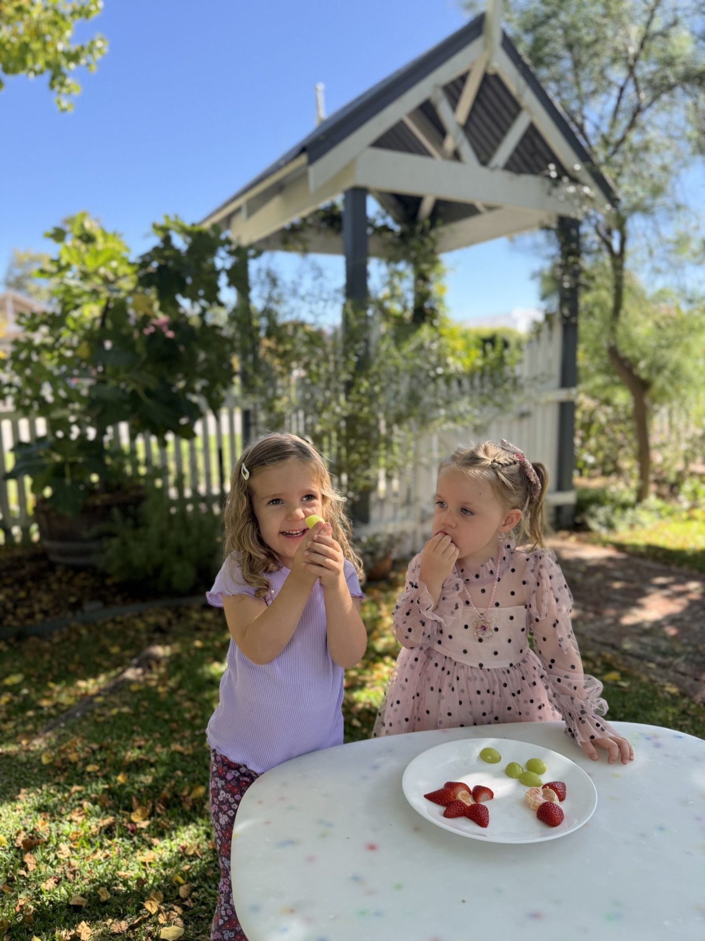 Two children sharing fresh fruit at a garden table